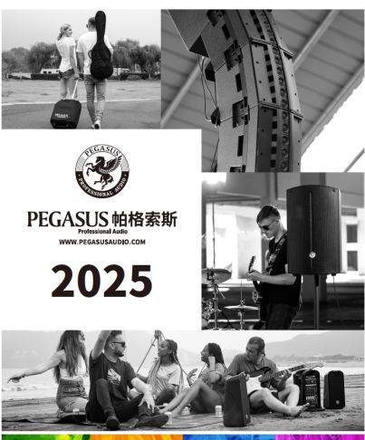 PEGASUS-2025 1