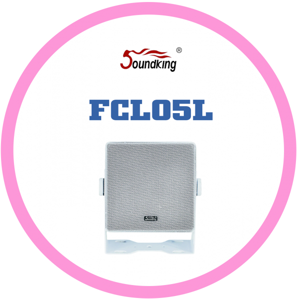 SOUNDKINGKING FCL05L被動同軸喇叭