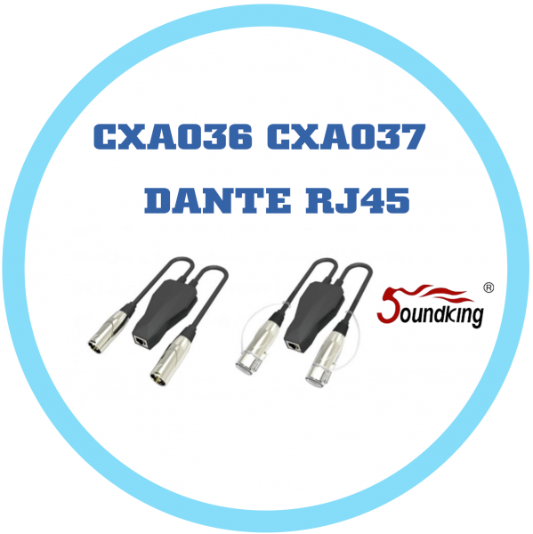 SOUNDKING CXA036 CXA037 DANTE RJ45 TO XLR 轉接器